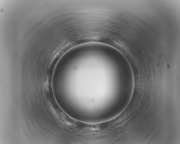 X0000055990552200508261727