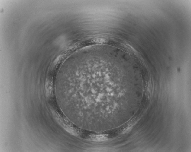 X0000055990553200508261727