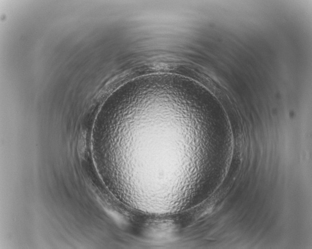 X0000055990554200508261727