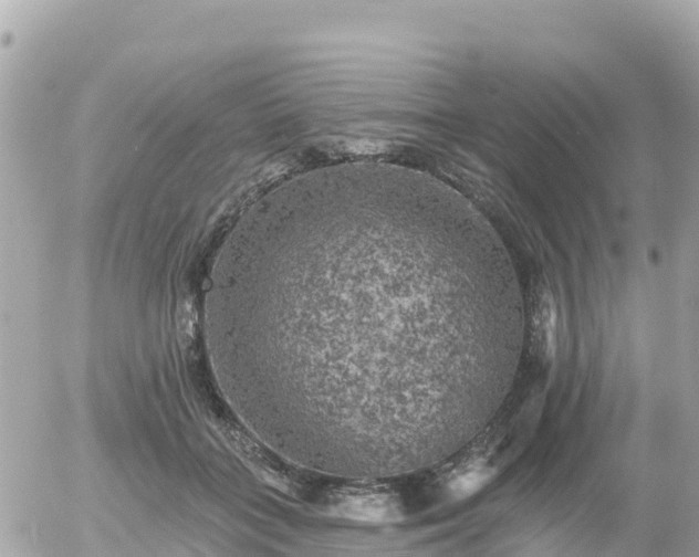 X0000055990555200508261727