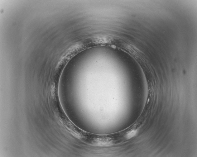 X0000055990556200508261727