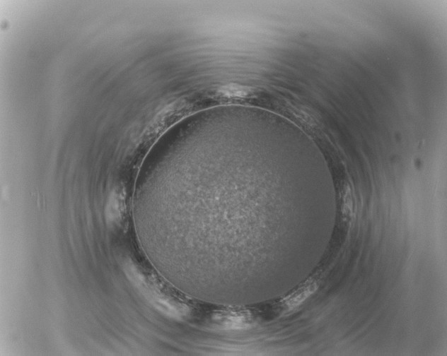 X0000055990559200508261727