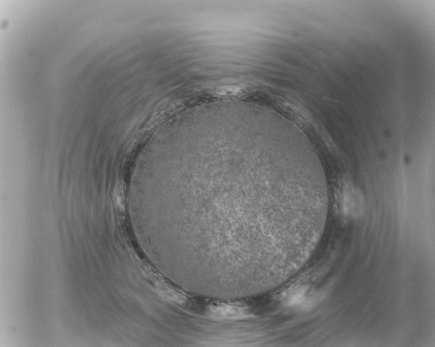 X0000055990561200508261727