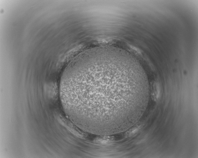 X0000055990563200508261727