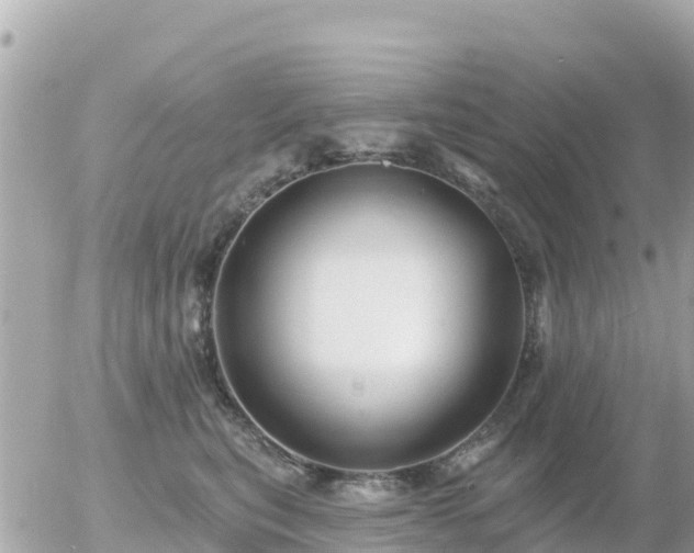 X0000055990567200508261727