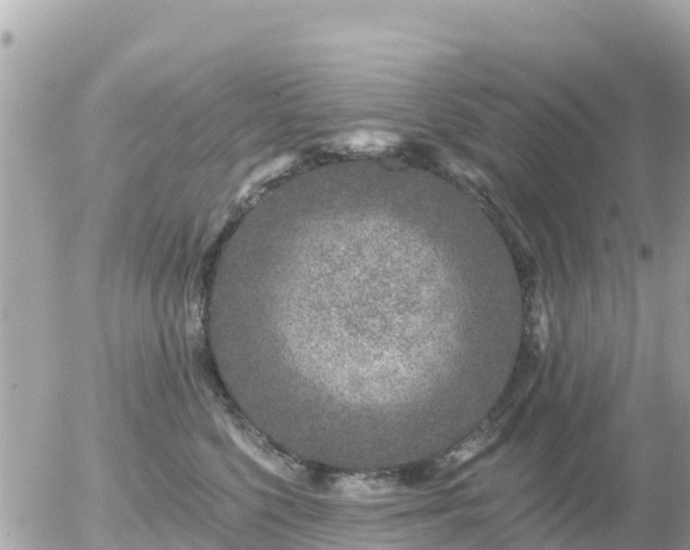 X0000055990568200508261727