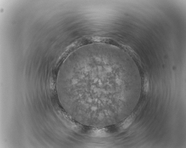 X0000055990569200508261727