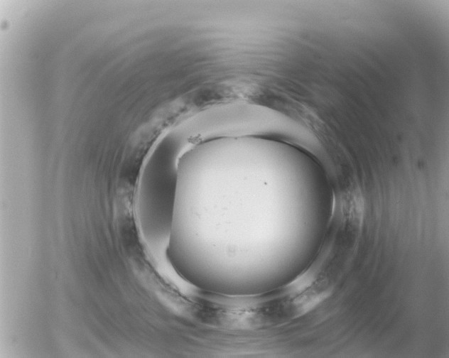 X0000055990570200508261727