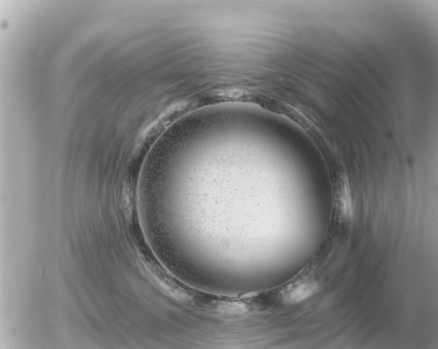 X0000055990572200508261727