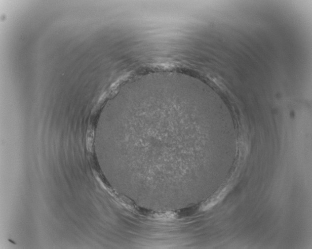 X0000055990576200508261727