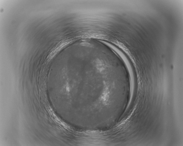 X0000055990577200508261726