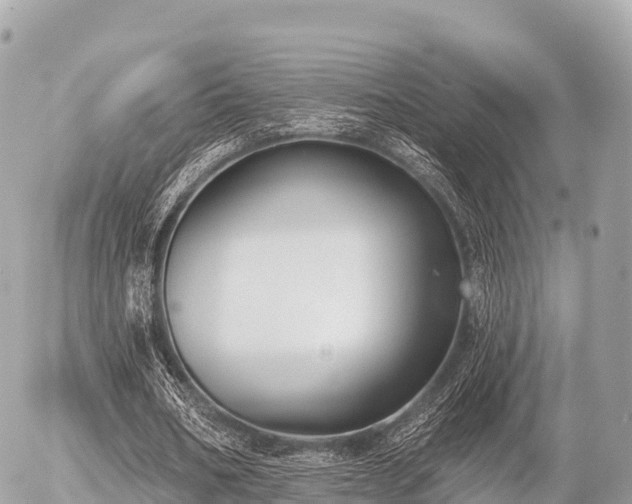 X0000055990578200508261726