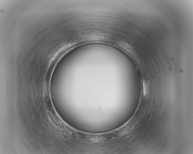 X0000055990579200508261726