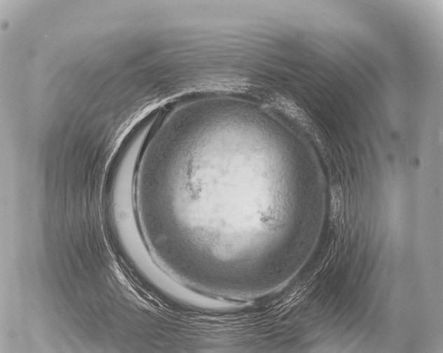 X0000055990580200508261726