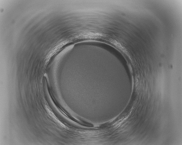 X0000055990581200508261726