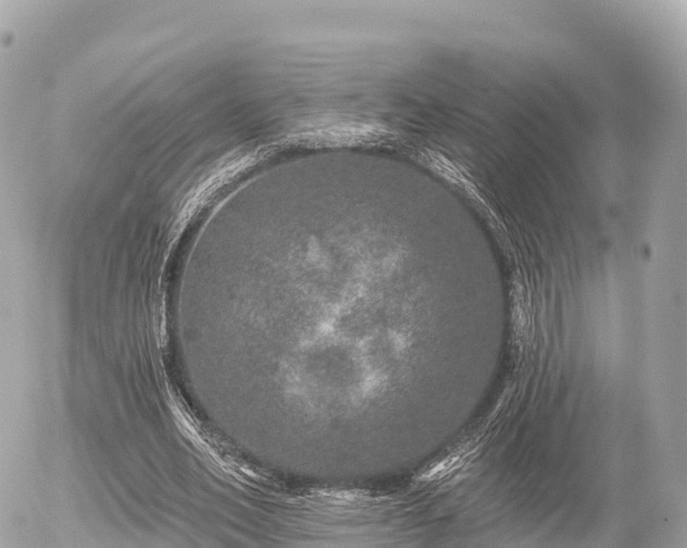 X0000055990582200508261726