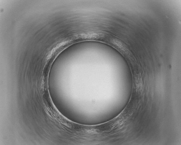 X0000055990583200508261726