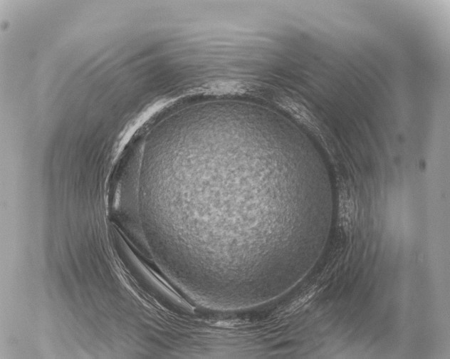 X0000055990584200508261726