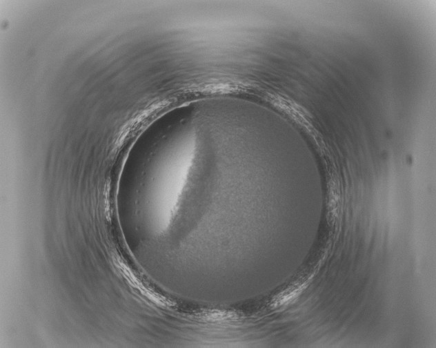 X0000055990585200508261726