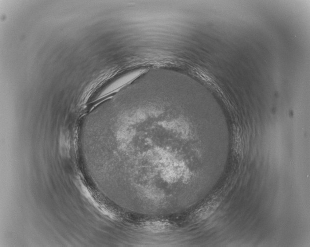 X0000055990586200508261726