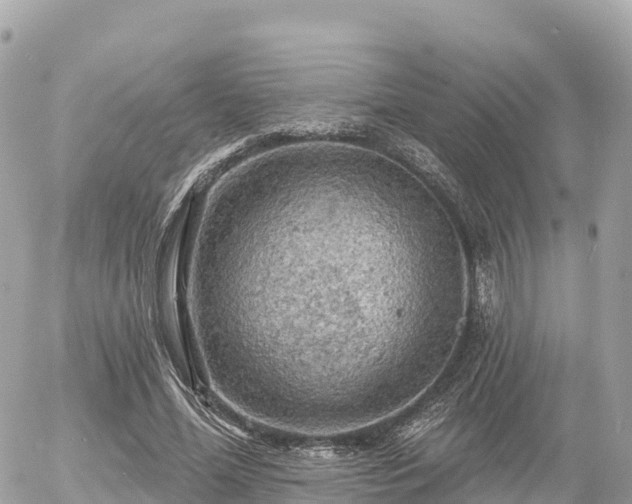 X0000055990588200508261726