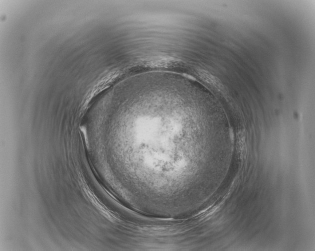 X0000055990589200508261726