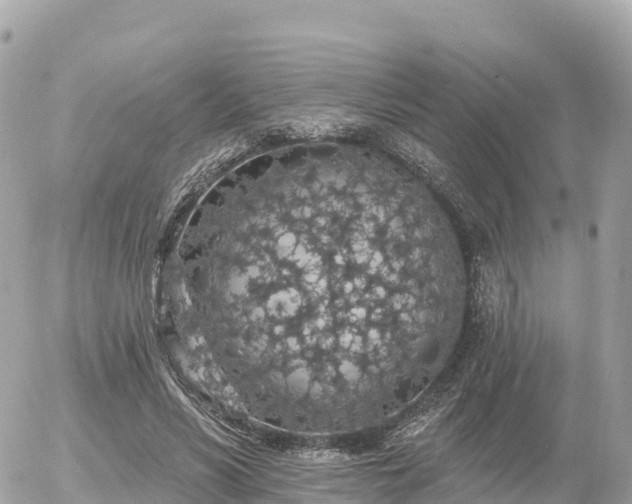 X0000055990590200508261726