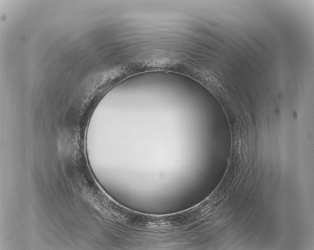 X0000055990591200508261726