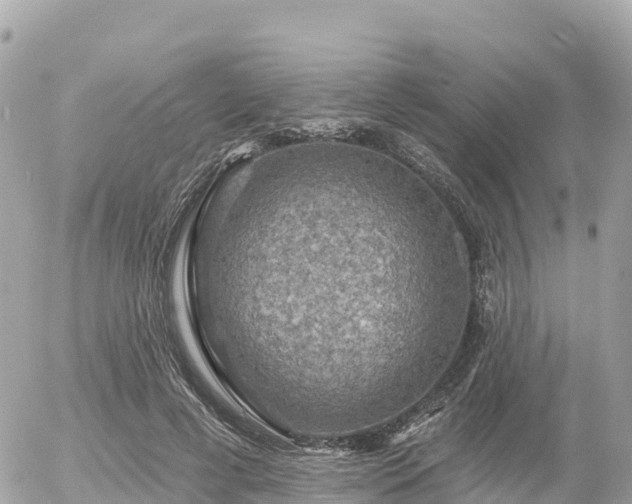 X0000055990593200508261726