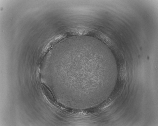 X0000055990594200508261726