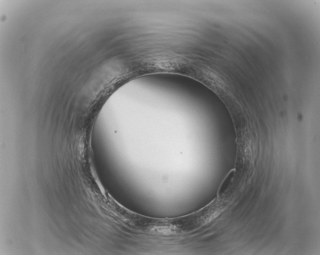 X0000055990595200508261726