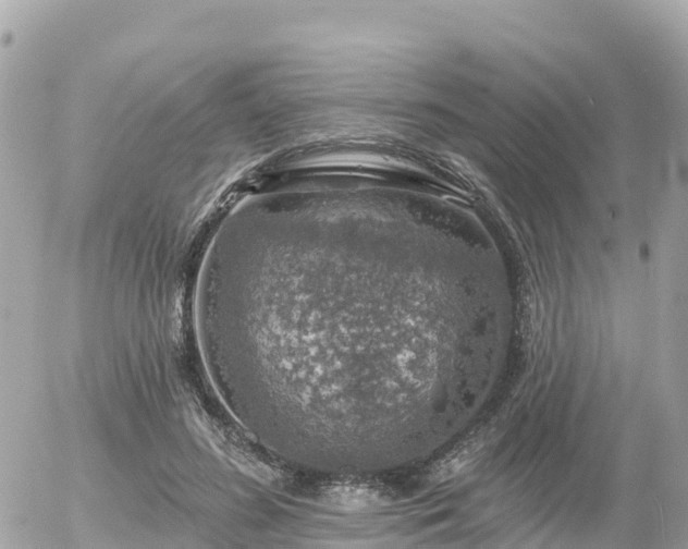 X0000055990596200508261726