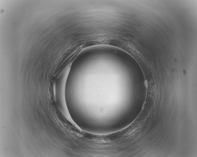 X0000055990597200508261726