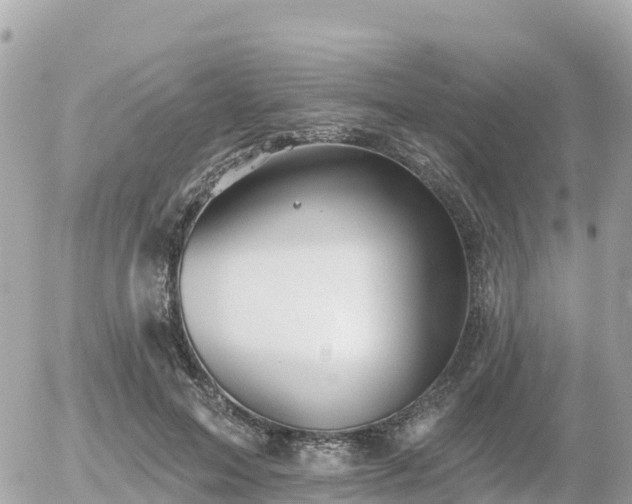 X0000055990599200508261726