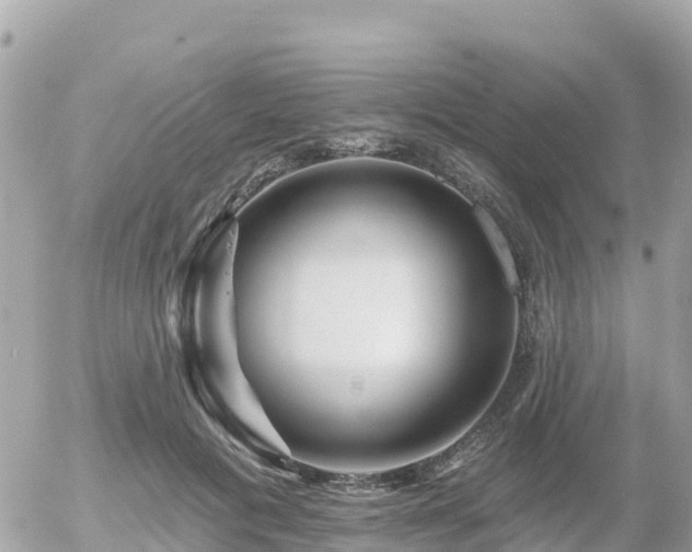 X0000055990601200508261726