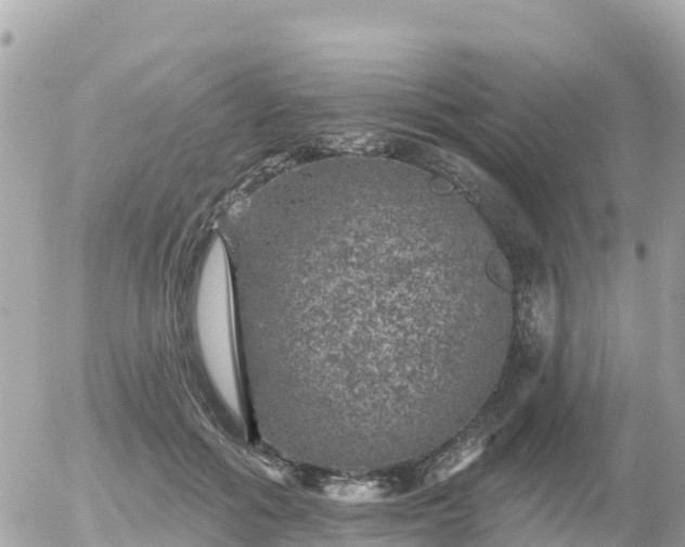 X0000055990602200508261726