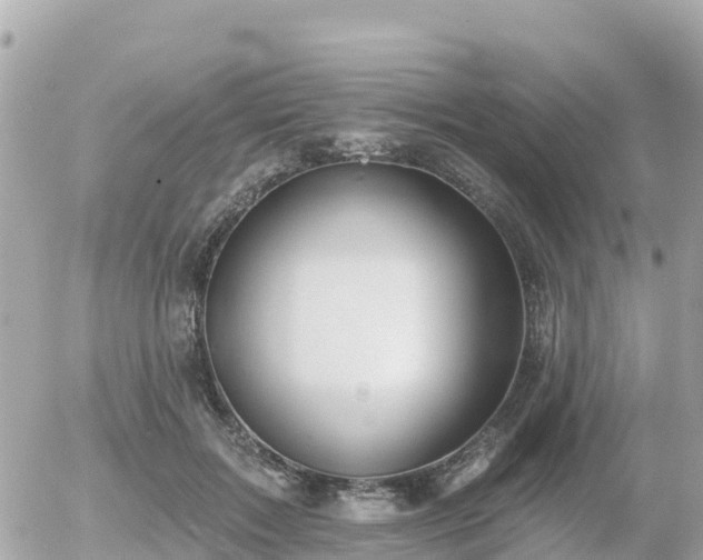 X0000055990603200508261726