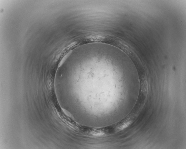 X0000055990604200508261726