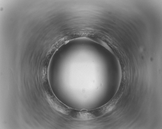 X0000055990605200508261726