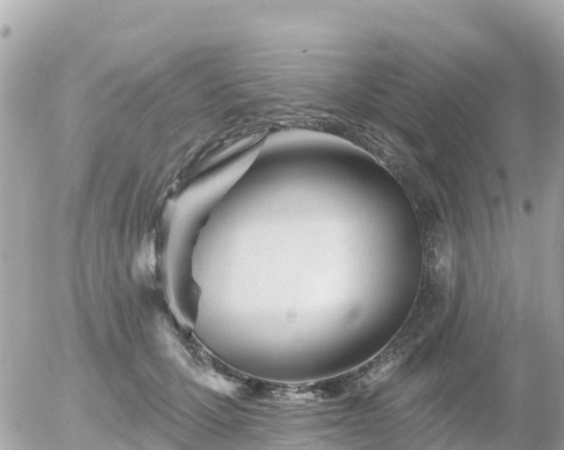 X0000055990607200508261726