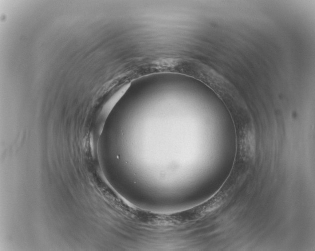 X0000055990608200508261726