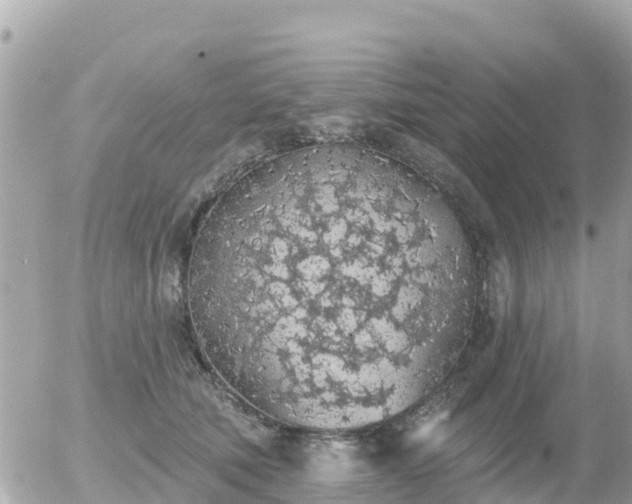 X0000055990610200508261726