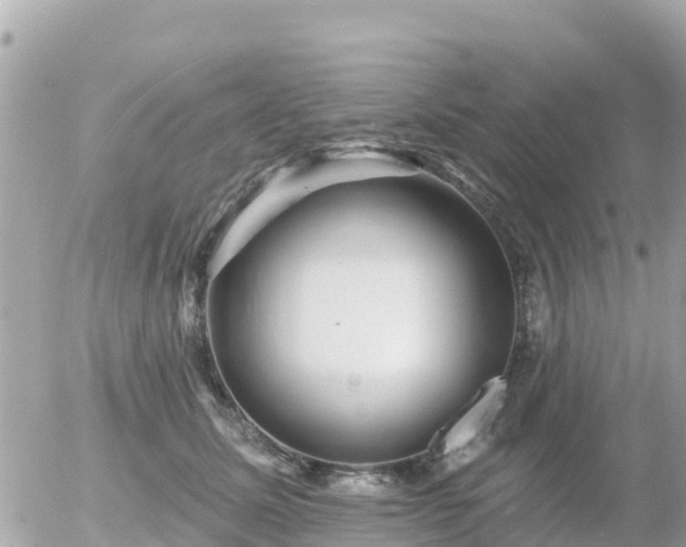 X0000055990611200508261726