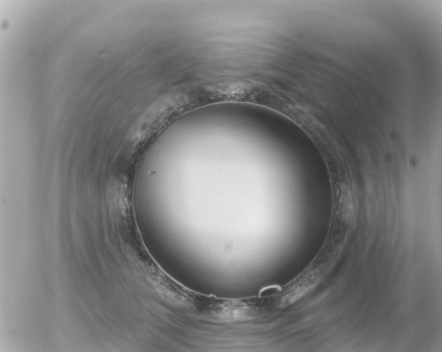 X0000055990612200508261726