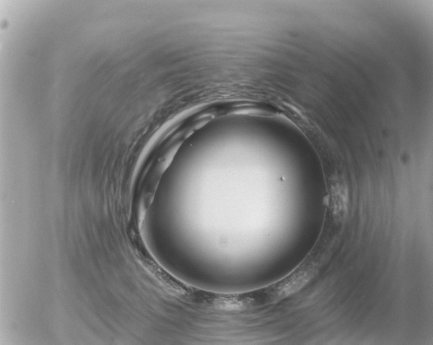 X0000055990613200508261726