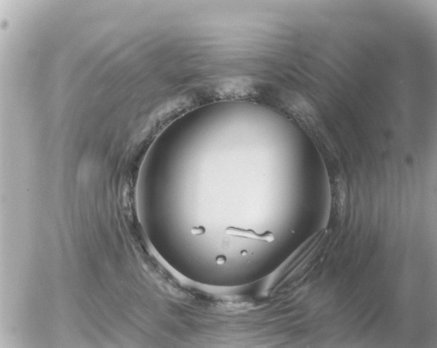 X0000055990619200508261726