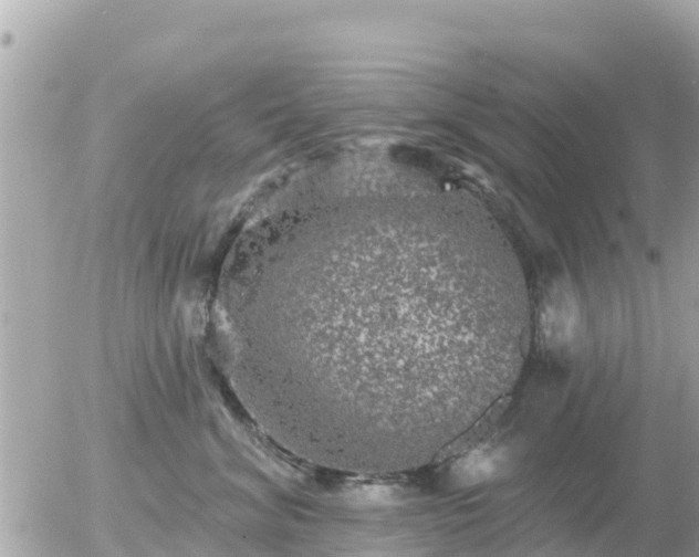 X0000055990620200508261726