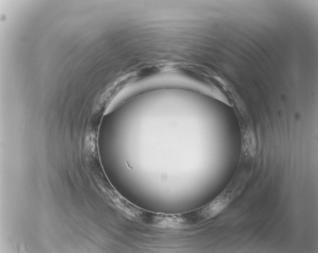 X0000055990621200508261726