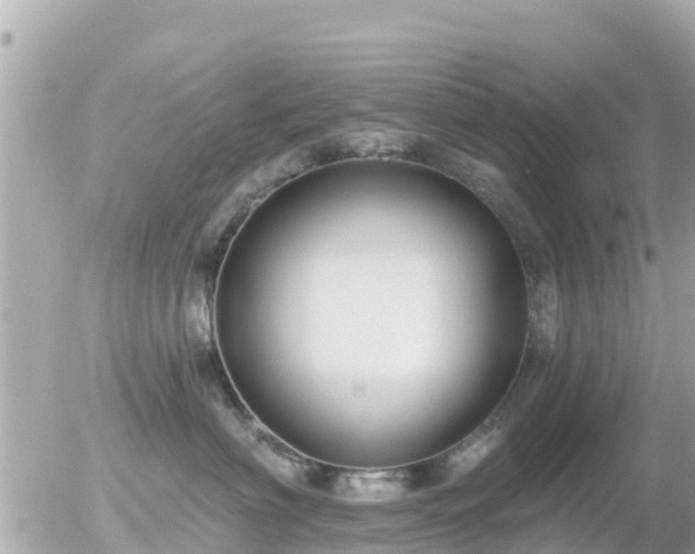 X0000055990622200508261726