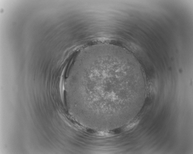 X0000055990623200508261726